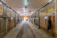 2483-Burnhamthorpe-Road-043