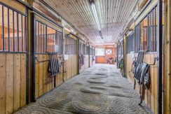 2483-Burnhamthorpe-Road-046