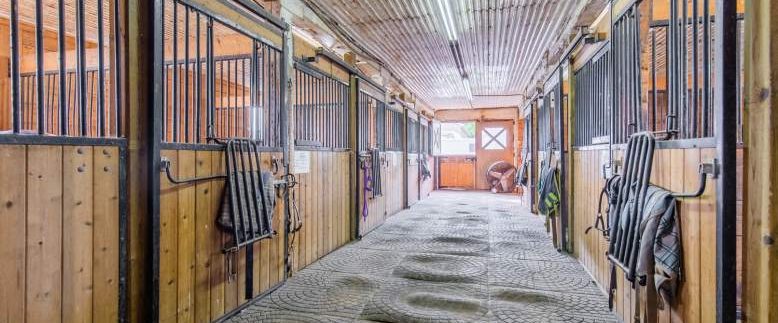 2483-Burnhamthorpe-Road-046